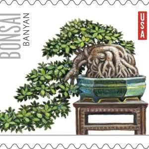 Forever Stamps 2012 Bonsai Trees – Cultural Heritage Collection, First-Class Postage