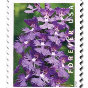 Forever Stamps 2020 Wild Orchids – Nature Series, First-Class Postage